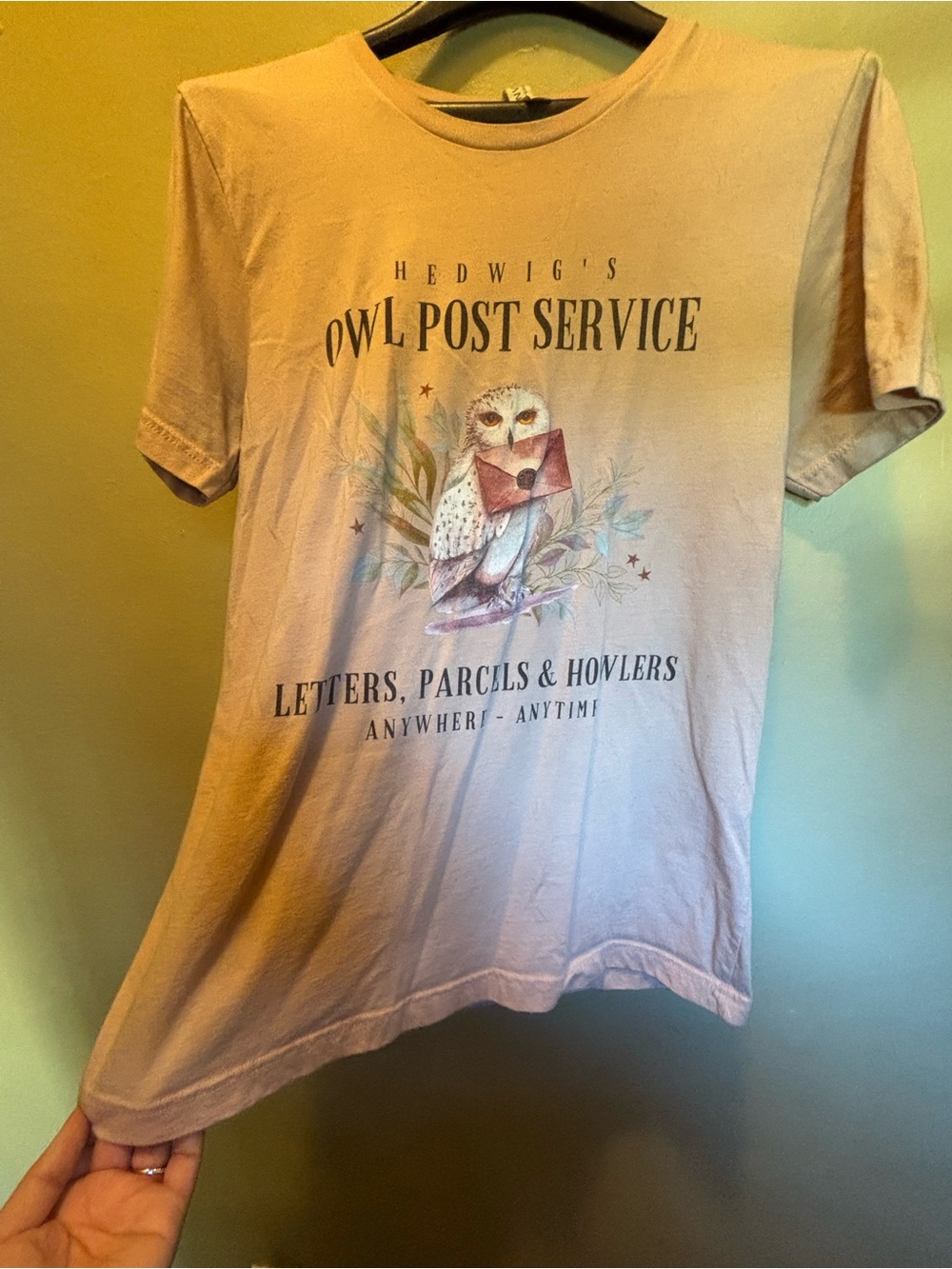 Bella Canvas Light Pink Graphic Tee